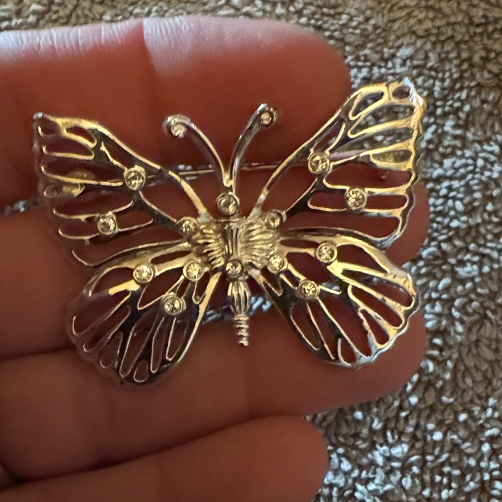 Elegant Silver Like Butterfly Brooch